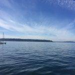 Lots of sailboats in the Puget Sound